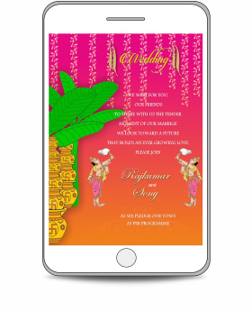 DIY-South Indian Wedding