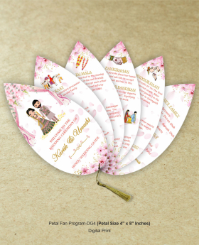 Petal Fan Program-DG4