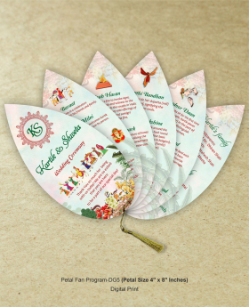 Petal Fan Program-DG5