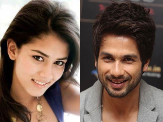 Shahid Kapoor Wedding